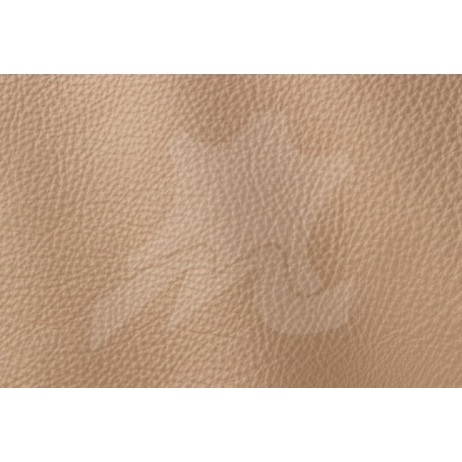 Aligo Group фото